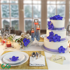 Wedding table setting